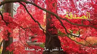 // الصدقة // مع الدكتور محمد نوح.
