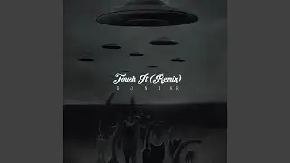 Touch It (Remix)