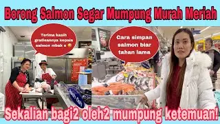 Borong Salmon Segar Mumpung Murah Meriah!