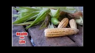 US Forced to Import Corn and Soy to Meet GMO-Free Demand