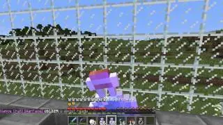 Quick pvp fight