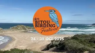 OB Sunbird Family on Robberg