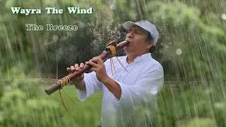 The Breeze (Rain Forest Love)  - Wayra 