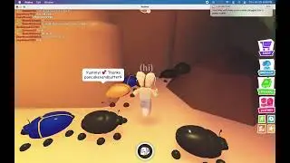 I got a golden scarab in adopt me