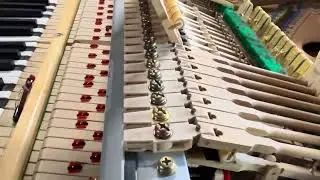 Grand Regulation NuckLjac фортепиано инструмент, как использовать его, гнездо на окне