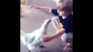 Animals teach us love     #animals #dog  #lover #goat