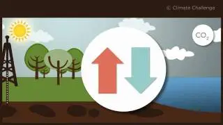 Climate Challenge: qu'est-ce que le cycle du carbone?