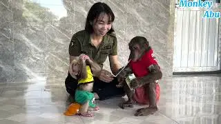OMG! What Made the Baby Monkey Angry at Mom and Abu?