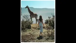Best Wildlife Animals Updates | African Wildlife Story's | Wildlife Animals Documentary | Lifespan