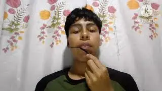 Pr&aacute;ctice pedagogical