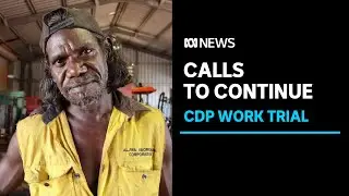 Indigenous people taking part in CDP trial appeal for conditions to continue | ABC News