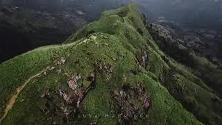 A L I V E ep.1 Scenic Relaxation film 4K | Badulla - Sri Lanka