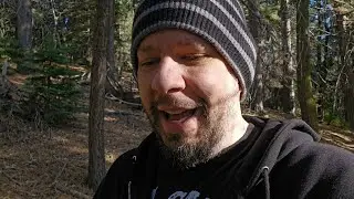 Elon Musk In The Epstein Files & PizzaGate Hypocrisy