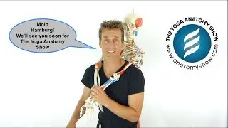 The Yoga Anatomy Show at the Yogaraum-Hamburg