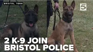 Two new K9s join Bristol, TN Police Department