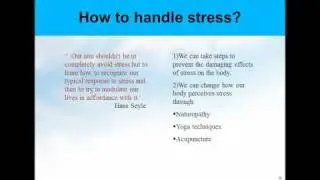 Holistic Stress Management