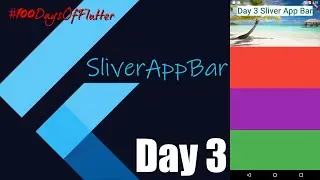 Day 3 | Speed Code | Custom Scroll view | Sliver App Bar flutter |  Code With Nix |