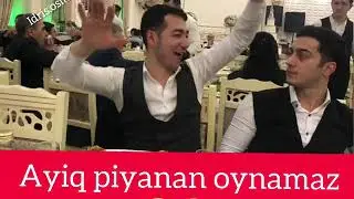 Ayiq piyanan oynamaz
