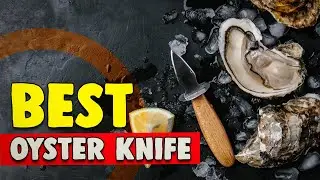 Best Oyster Knife in 2021 – Shuck the Right Way!
