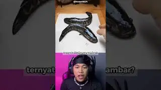 Seniman Jenius Ini Berhasil Gambar Ikan Yang Sangat Nyata 😱 #shorts