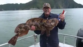 2022 Alaska Fishing Highlights - Alaskan Fishing Adventures and Anglers Lodge