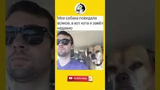 Подписывайся и ставь лайк 👍😂#shorts #comedy #jokes #humor #шутка #юмор #прикол #анекдот #шуточное