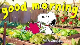 [relaxing playlist] 안녕하세요 여러분, 피아노 선율 ☀️ 부드러운 선율과 긍정적인 에너지 | Snoopy Light Rhythm