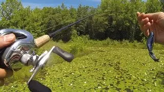 Боксерские площадки &mdash; Summer Pond Bassin в Боуи, Мэриленд