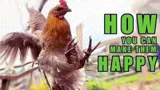 BACKYARD CHICKENS Daily Routine | Allotment Vlog