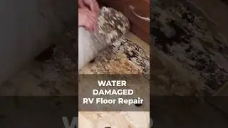 How To Repair Water Damage RV Floor | DIY #rvrepair #rvrenovation #rvtips