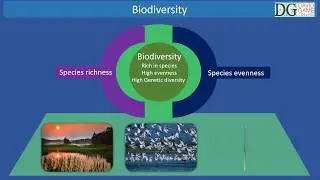 David Game College - Biodiversity