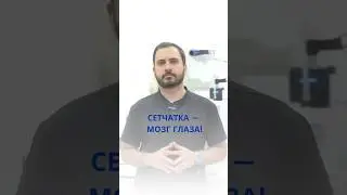 Сетчатка &mdash; это мозг глаза.