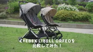 【サイベックス 】リベルとオルフェオを比較してみた！