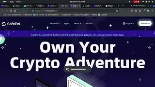 Taking Down This Well Known Crypto Wallet Scam | SafePal Take Down DDOS