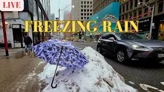 Tuesday Live 🔴 Freezing Rain Warning Walk