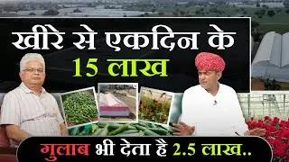 किसान,जिसने गांव को बना दिया मिनी इज़राइल।लाखों में है कमाई।Haldhar Times। #kisan #farming #polyhouse