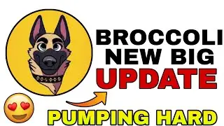 Монета Broccoli Coin набирает обороты 😍 | Новости о Broccoli Coin | Прогноз цены токена Broccoli ...