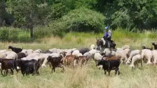 Skopia Florina Greece 2017