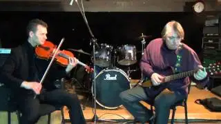 Sting   Fields Of Gold  Viola + Guitar Cover