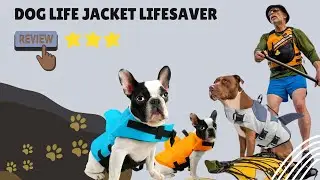 Dog Life Jacket Lifesaver | Dogizz | Free Worldwide Delivery