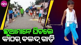 Pura Uans, Bargarh: ବରଗଡ଼ନେ ପାଲନ୍ ହେଲା ପୁରା ଉଆଁସ୍... ରାସ୍ତାନେ ଗଡ଼ଲା କାଠର୍ ଛୋଟ୍ ଛୋଟ୍ ବଲଦ୍ ଗାଡ଼ି...