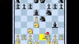 Chess Games: Standard #1