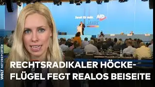 PARTEITAG IN MAGDEBURG: AfD-Bewerber f&uuml;r Europa wollen radikale Abkehr von der EU | WELT News