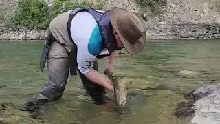 LIVE THE ADVENTURES - WEAR THE ADDICTION