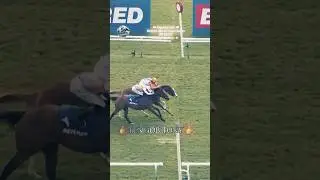 TEN BOB TONY survives stewards&rsquo; inquiry in John of Gaunt Stakes😎🏆
