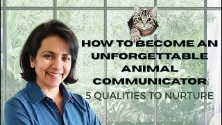 How to Become an Unforgettable Animal Communicator  5 Qualities To Nurture