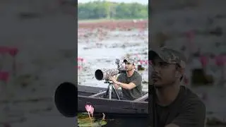 Sony A1 II Autofocus is Insane! Top 3 Game-Changing Updates for Wildlife & Bird Photographers