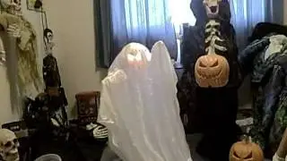 VID01459 mpeg2video