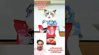Remaking Ramen with a Side of Comedy#thatlilttlepuff#cat#puff#shorts#trending#funny#viral#new#fyp#yt