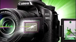 Canon 80D vs Canon 7D Mark II - Why the 80D is a FAR BETTER Value than the 7D MkII
